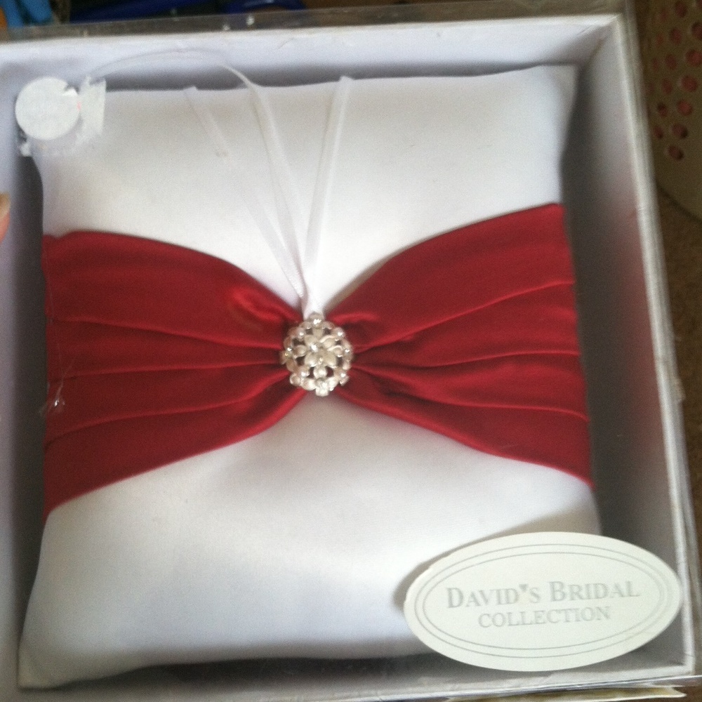 (NWT) Ring Barrier Pillow